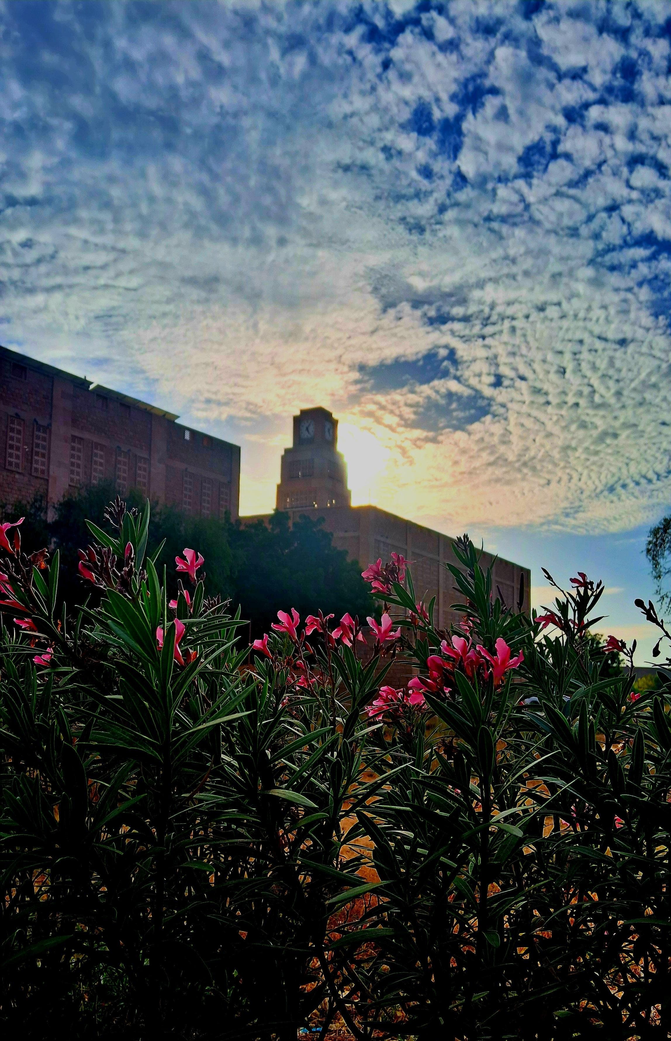 Campus view 1